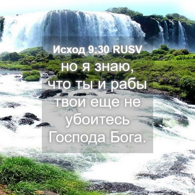 Picture 04 - Исход 9:30 RUSV - но я знаю, что ты и рабы - Bible Verse Picture