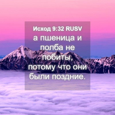Picture 04 - Исход 9:32 RUSV - а пшеница и полба не - Bible Verse Picture