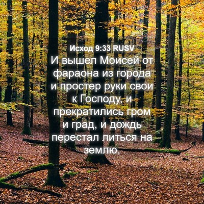 Picture 04 - Исход 9:33 RUSV - И вышел Моисей от фараона - Bible Verse Picture