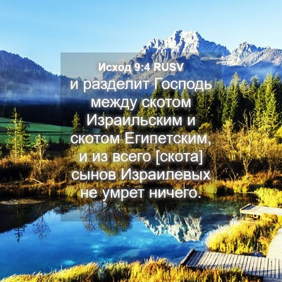 Picture 04 - Исход 9:4 RUSV - и разделит Господь между - Bible Verse Picture