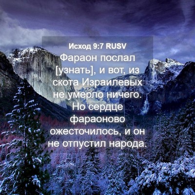 Picture 04 - Исход 9:7 RUSV - Фараон послал [узнать], и - Bible Verse Picture