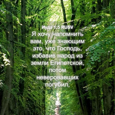 Picture 04 - Иуда 1:5 RUSV - Я хочу напомнить вам, уже - Bible Verse Picture