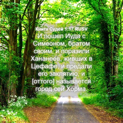 Picture 04 - Книга Судей 1:17 RUSV - И пошел Иуда с Симеоном, - Bible Verse Picture