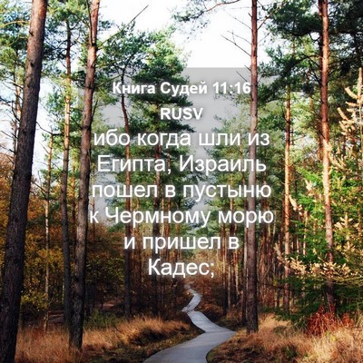 Picture 04 - Книга Судей 11:16 RUSV - ибо когда шли из Египта, - Bible Verse Picture