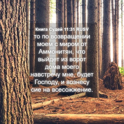 Picture 04 - Книга Судей 11:31 RUSV - то по возвращении моем с - Bible Verse Picture
