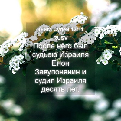 Picture 04 - Книга Судей 12:11 RUSV - После него был судьею - Bible Verse Picture