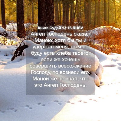 Picture 04 - Книга Судей 13:16 RUSV - Ангел Господень сказал - Bible Verse Picture