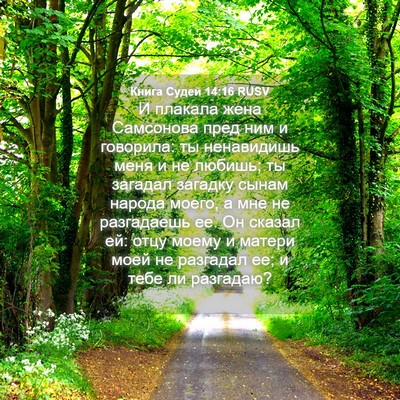 Picture 04 - Книга Судей 14:16 RUSV - И плакала жена Самсонова - Bible Verse Picture