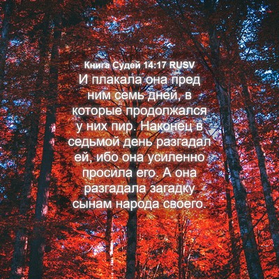 Picture 04 - Книга Судей 14:17 RUSV - И плакала она пред ним семь - Bible Verse Picture