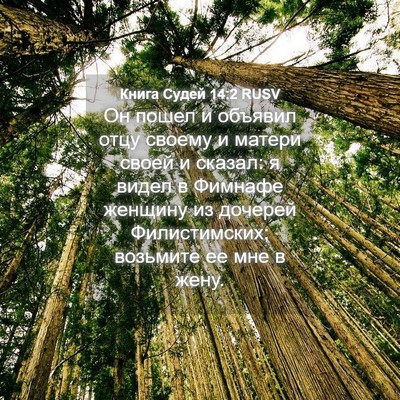 Picture 04 - Книга Судей 14:2 RUSV - Он пошел и объявил отцу - Bible Verse Picture