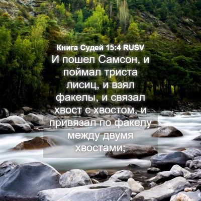 Picture 04 - Книга Судей 15:4 RUSV - И пошел Самсон, и поймал - Bible Verse Picture