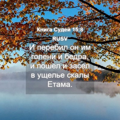 Picture 04 - Книга Судей 15:8 RUSV - И перебил он им голени и - Bible Verse Picture