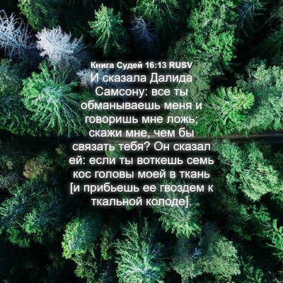 Picture 04 - Книга Судей 16:13 RUSV - И сказала Далида Самсону: - Bible Verse Picture
