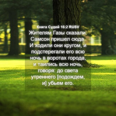 Picture 04 - Книга Судей 16:2 RUSV - Жителям Газы сказали: - Bible Verse Picture