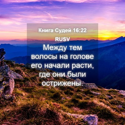 Picture 04 - Книга Судей 16:22 RUSV - Между тем волосы на голове - Bible Verse Picture