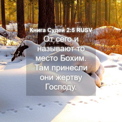 Picture 04 - Книга Судей 2:5 RUSV - От сего и называют то место - Bible Verse Picture