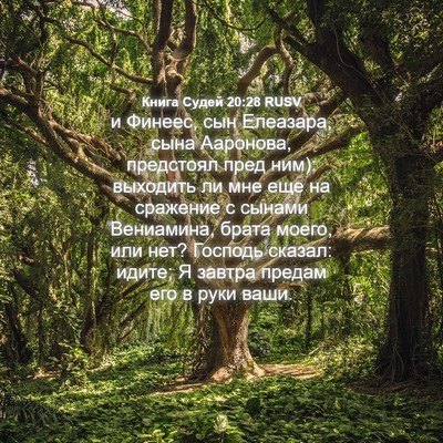 Picture 04 - Книга Судей 20:28 RUSV - и Финеес, сын Елеазара, - Bible Verse Picture