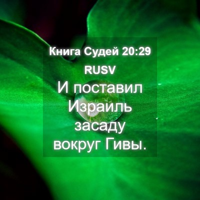 Picture 04 - Книга Судей 20:29 RUSV - И поставил Израиль засаду - Bible Verse Picture