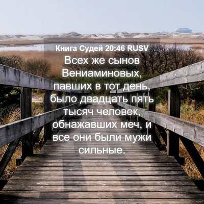Picture 04 - Книга Судей 20:46 RUSV - Всех же сынов - Bible Verse Picture