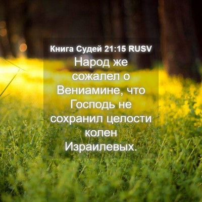 Picture 04 - Книга Судей 21:15 RUSV - Народ же сожалел о - Bible Verse Picture