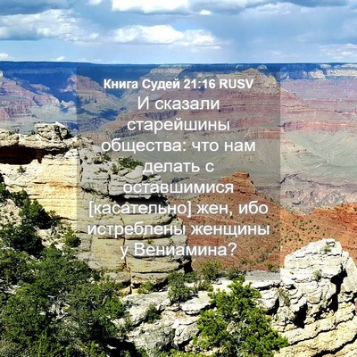 Picture 04 - Книга Судей 21:16 RUSV - И сказали старейшины - Bible Verse Picture