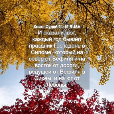 Picture 04 - Книга Судей 21:19 RUSV - И сказали: вот, каждый год - Bible Verse Picture
