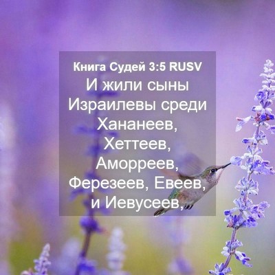 Picture 04 - Книга Судей 3:5 RUSV - И жили сыны Израилевы - Bible Verse Picture