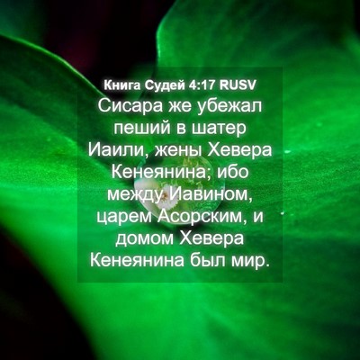 Picture 04 - Книга Судей 4:17 RUSV - Сисара же убежал пеший в - Bible Verse Picture