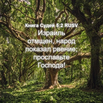 Picture 04 - Книга Судей 5:2 RUSV - Израиль отмщен, народ - Bible Verse Picture