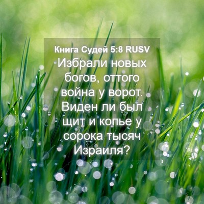 Picture 04 - Книга Судей 5:8 RUSV - Избрали новых богов, - Bible Verse Picture