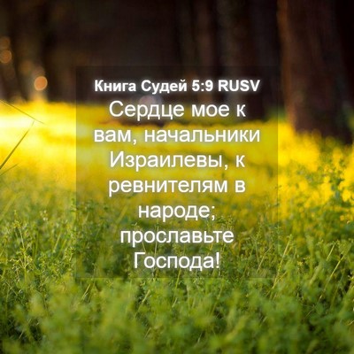 Picture 04 - Книга Судей 5:9 RUSV - Сердце мое к вам, - Bible Verse Picture