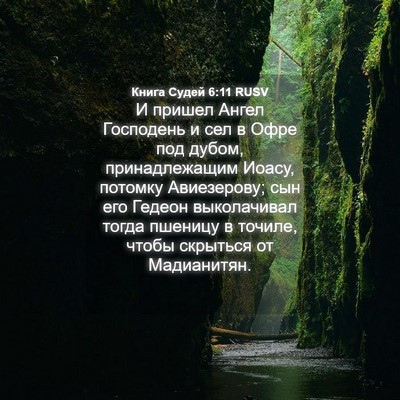 Picture 04 - Книга Судей 6:11 RUSV - И пришел Ангел Господень и - Bible Verse Picture