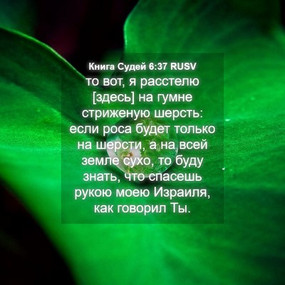 Picture 04 - Книга Судей 6:37 RUSV - то вот, я расстелю [здесь] - Bible Verse Picture
