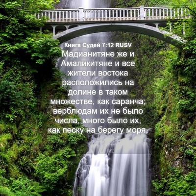 Picture 04 - Книга Судей 7:12 RUSV - Мадианитяне же и - Bible Verse Picture