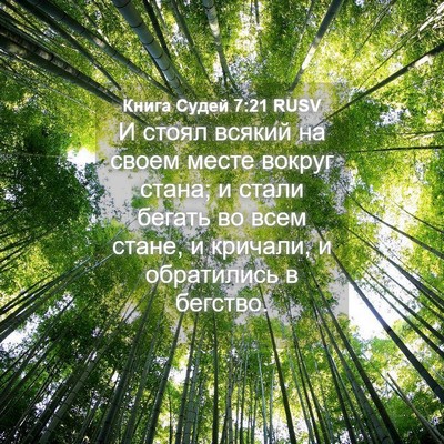 Picture 04 - Книга Судей 7:21 RUSV - И стоял всякий на своем - Bible Verse Picture