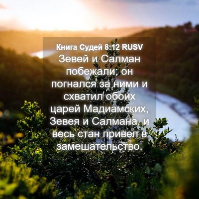 Picture 04 - Книга Судей 8:12 RUSV - Зевей и Салман побежали; он - Bible Verse Picture