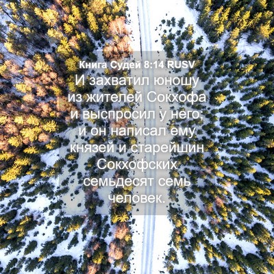 Picture 04 - Книга Судей 8:14 RUSV - И захватил юношу из - Bible Verse Picture