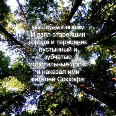 Picture 04 - Книга Судей 8:16 RUSV - И взял старейшин города и - Bible Verse Picture
