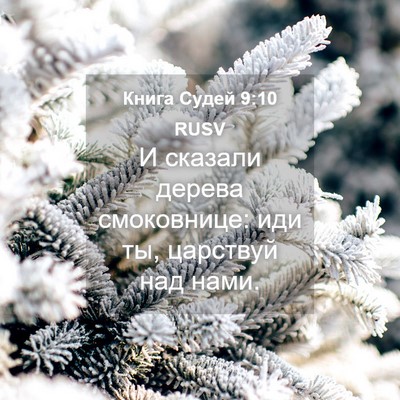 Picture 04 - Книга Судей 9:10 RUSV - И сказали дерева - Bible Verse Picture