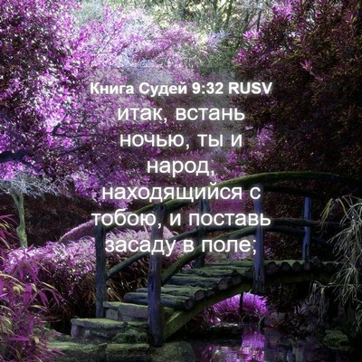 Picture 04 - Книга Судей 9:32 RUSV - итак, встань ночью, ты и - Bible Verse Picture