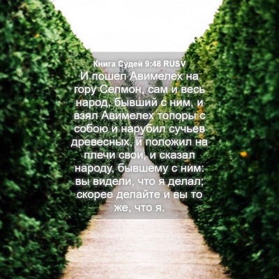 Picture 04 - Книга Судей 9:48 RUSV - И пошел Авимелех на гору - Bible Verse Picture