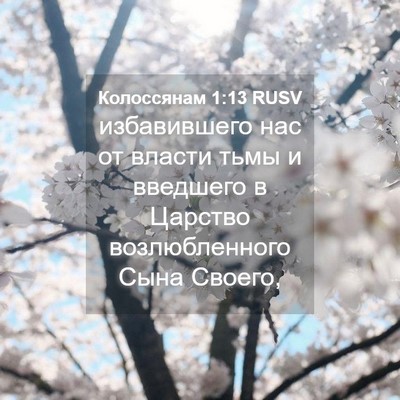 Picture 04 - Колоссянам 1:13 RUSV - избавившего нас от власти - Bible Verse Picture