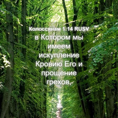 Picture 04 - Колоссянам 1:14 RUSV - в Котором мы имеем - Bible Verse Picture