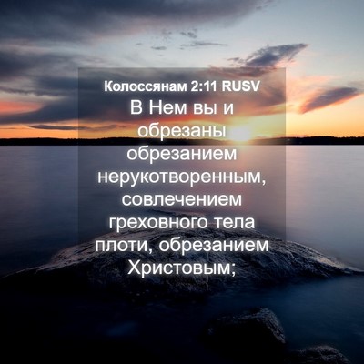 Picture 04 - Колоссянам 2:11 RUSV - В Нем вы и обрезаны - Bible Verse Picture