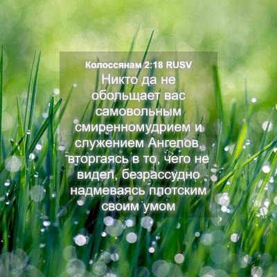 Picture 04 - Колоссянам 2:18 RUSV - Никто да не обольщает вас - Bible Verse Picture