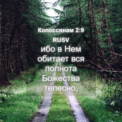 Picture 04 - Колоссянам 2:9 RUSV - ибо в Нем обитает вся - Bible Verse Picture