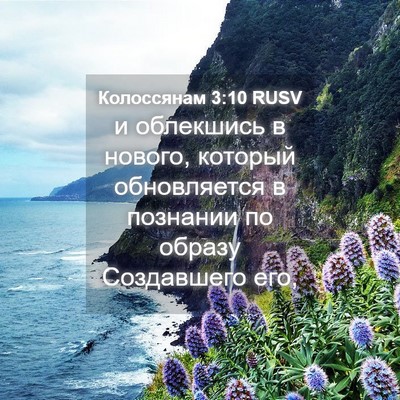 Picture 04 - Колоссянам 3:10 RUSV - и облекшись в нового, - Bible Verse Picture