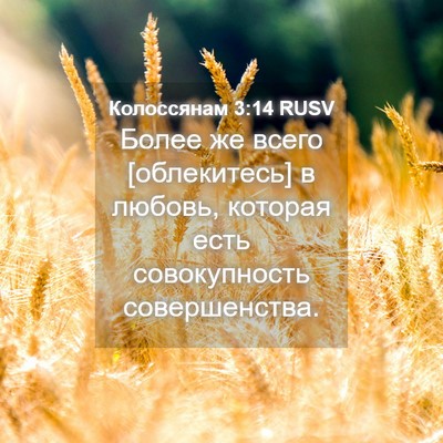 Picture 04 - Колоссянам 3:14 RUSV - Более же всего [облекитесь] - Bible Verse Picture