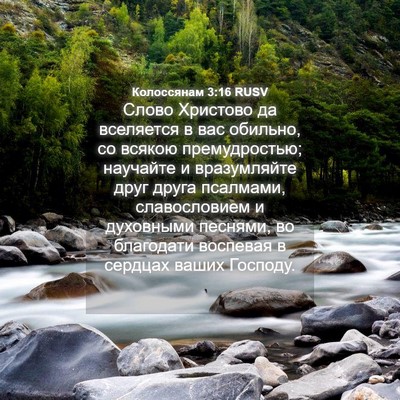 Picture 04 - Колоссянам 3:16 RUSV - Слово Христово да - Bible Verse Picture