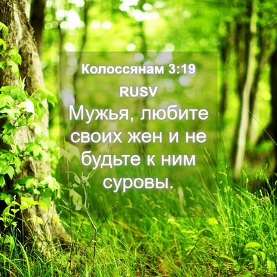 Picture 04 - Колоссянам 3:19 RUSV - Мужья, любите своих жен и - Bible Verse Picture
